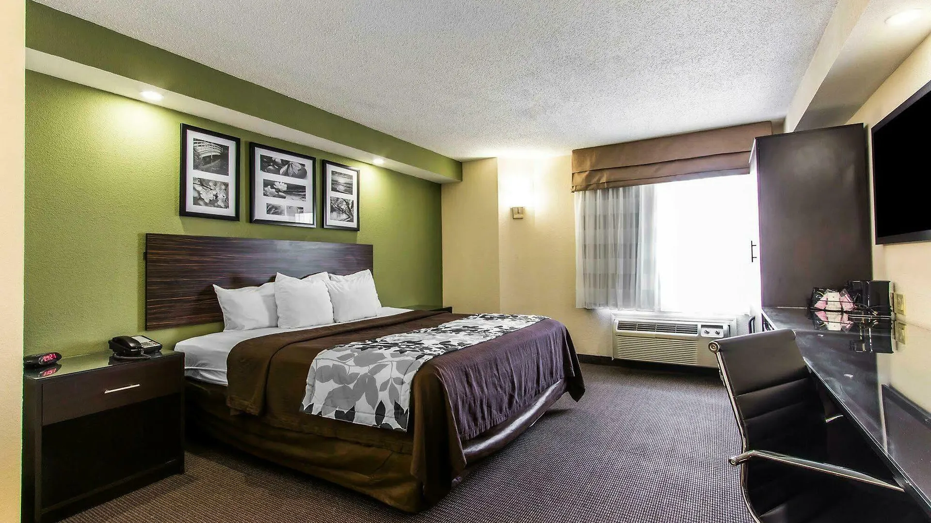 Quality Inn Memphis Northeast Near I-40